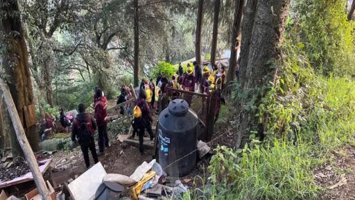 Frenan invasión al suelo de conservación en Magdalena Contreras