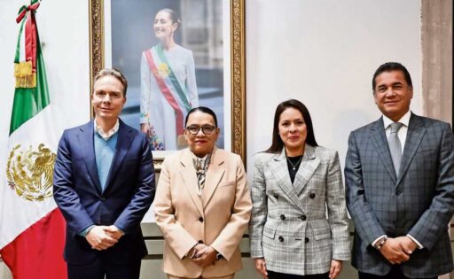 Gobierno ofrece a Verde y PT salvar pluris y parte de su beca | El Universal