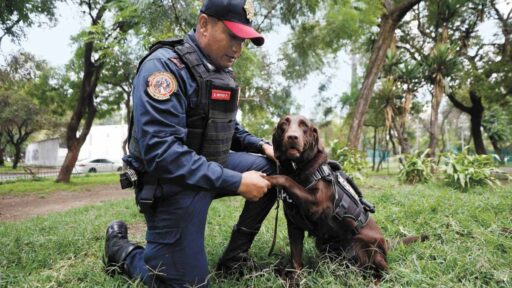 Rumbo al 19S: Zory, entrenada para rescatar personas debajo de escombros  completa