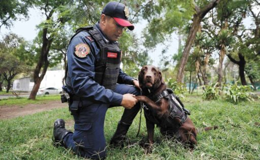 Rumbo al 19S: Zory, entrenada para rescatar personas debajo de escombros  completa