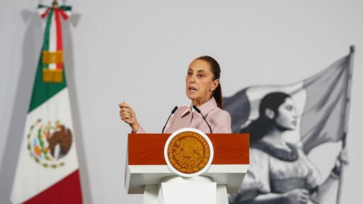 Alguien está provocando que se hagan osos en Palacio