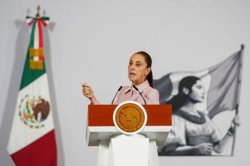 Alguien está provocando que se hagan osos en Palacio